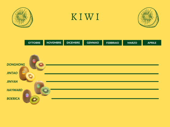 KIWI-agg