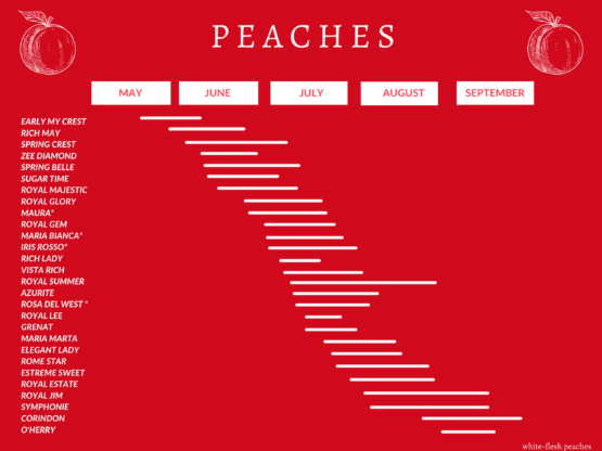 peaches